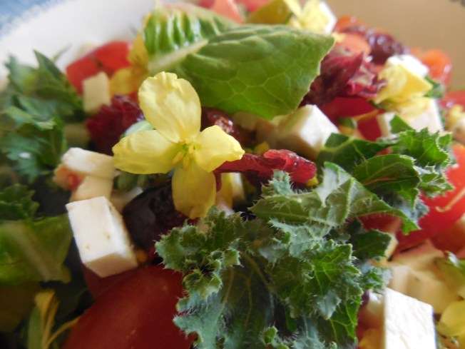 Another Great Reason to Garden in Florida