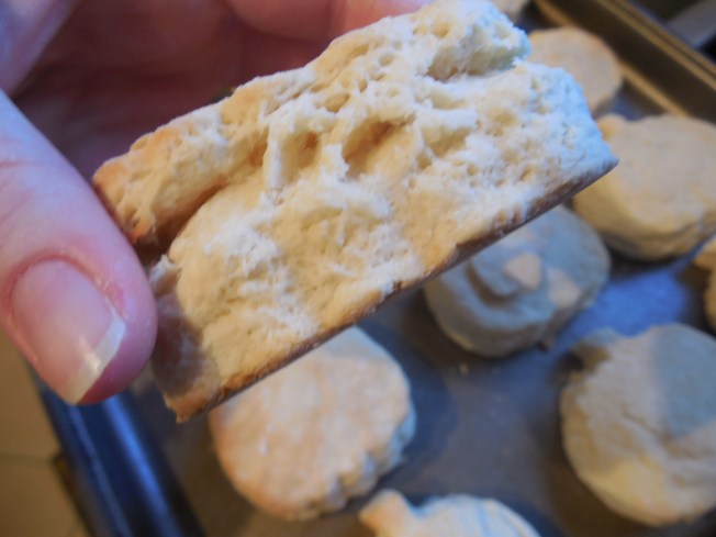 easy homemade biscuits