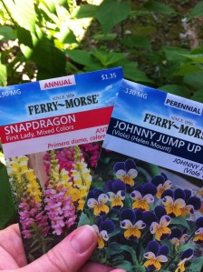 Florida fall flower seeds