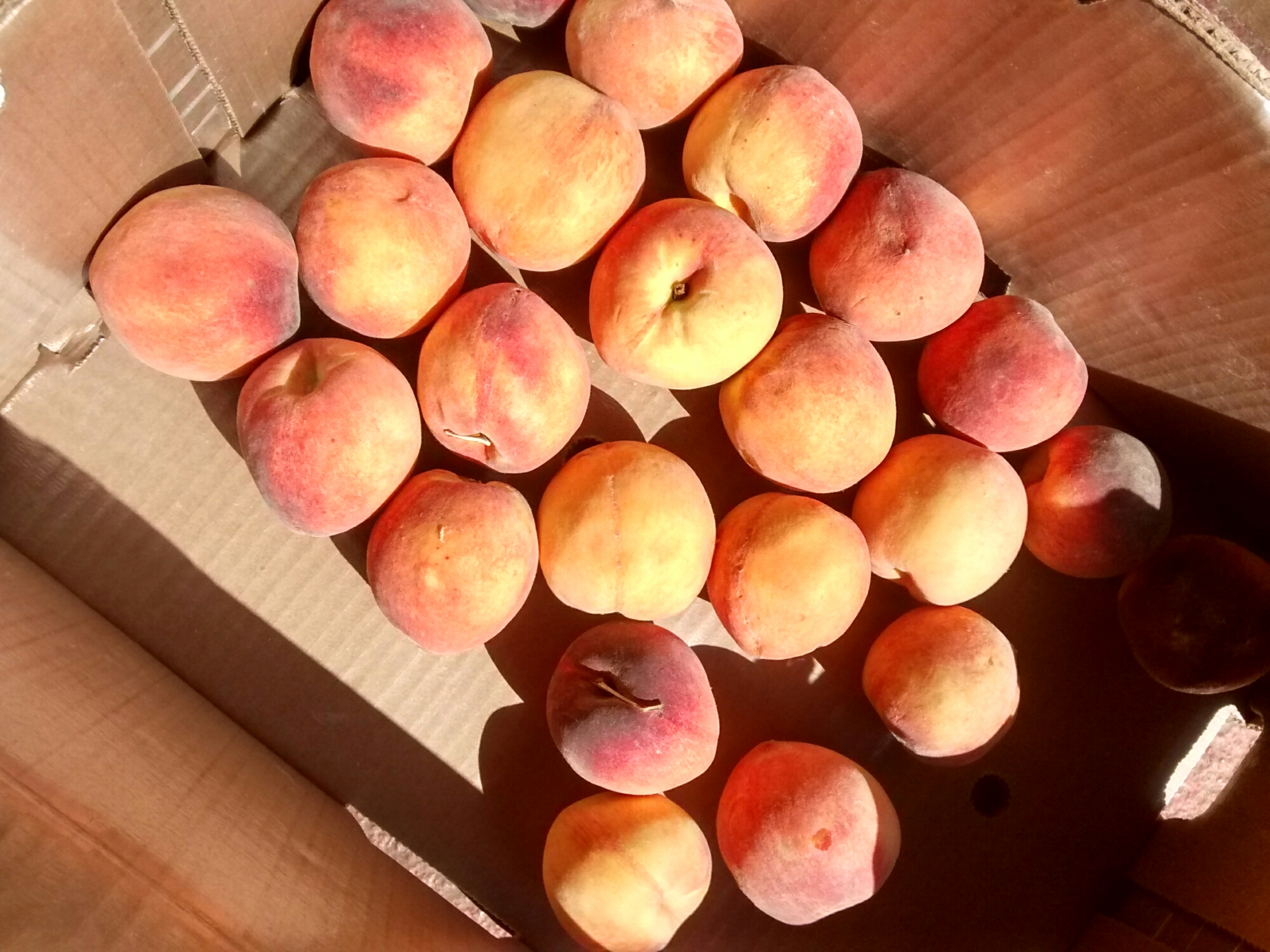 peaches