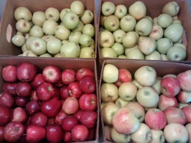 IMG_20151009_134739957.jpg image