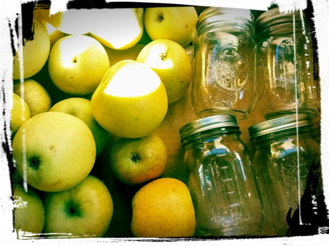 wp-1445620561472 image