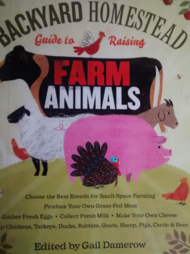 wp-1454333676244 image