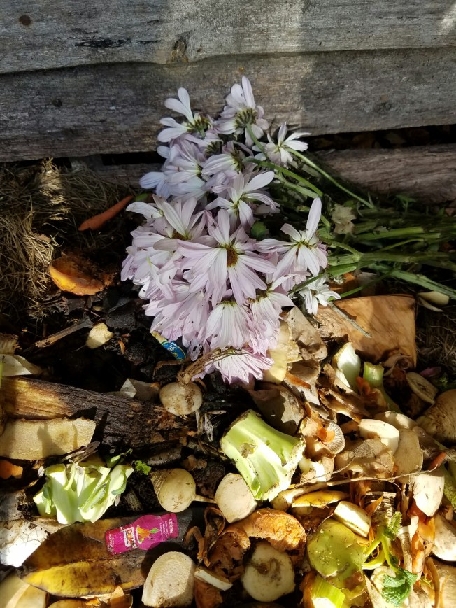 Compost pile with flowers