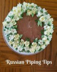 More Cakes with Russian Piping Tips 